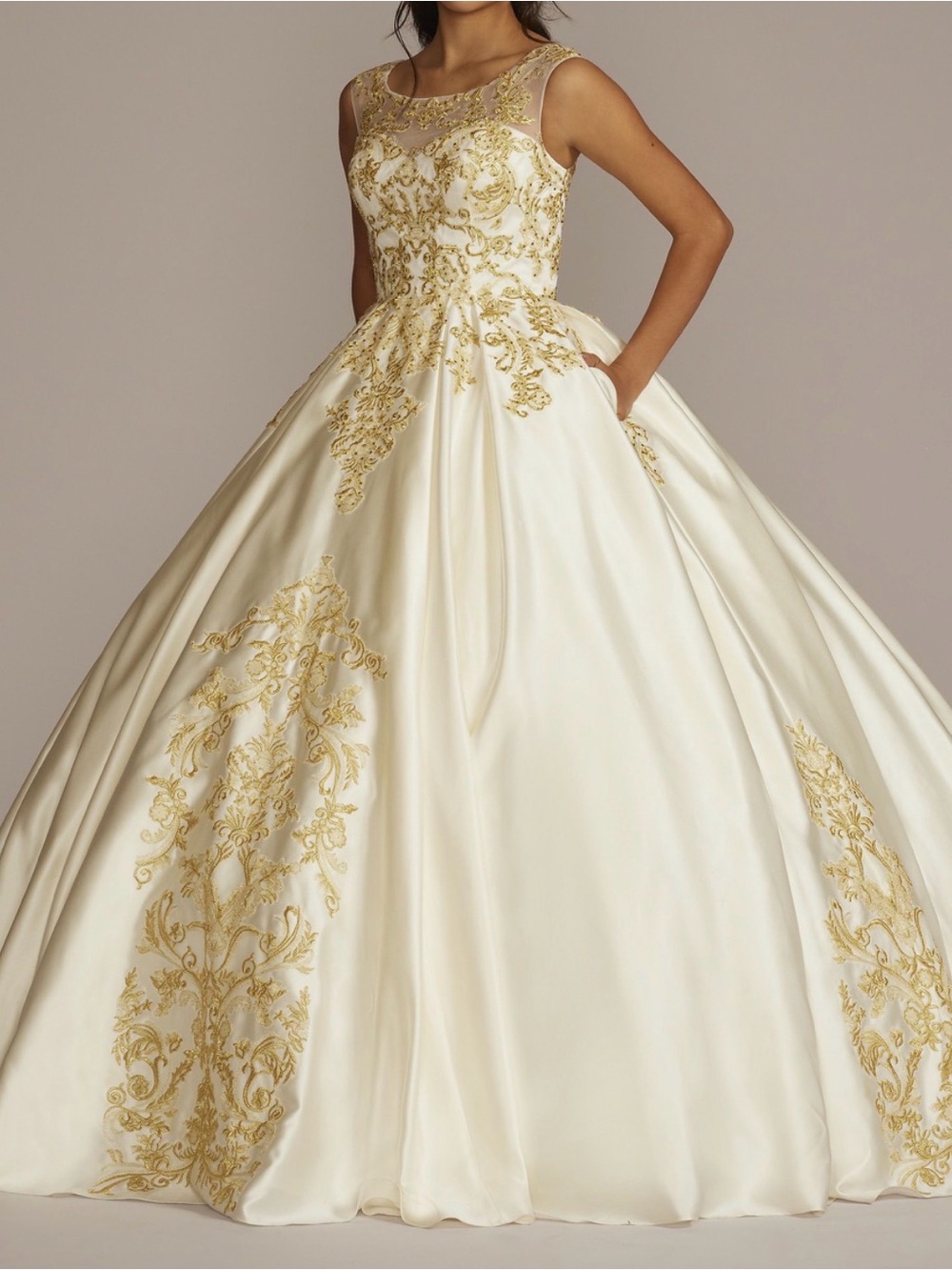 David's Bridal Ivory Ball Gown with Gold Embroidery